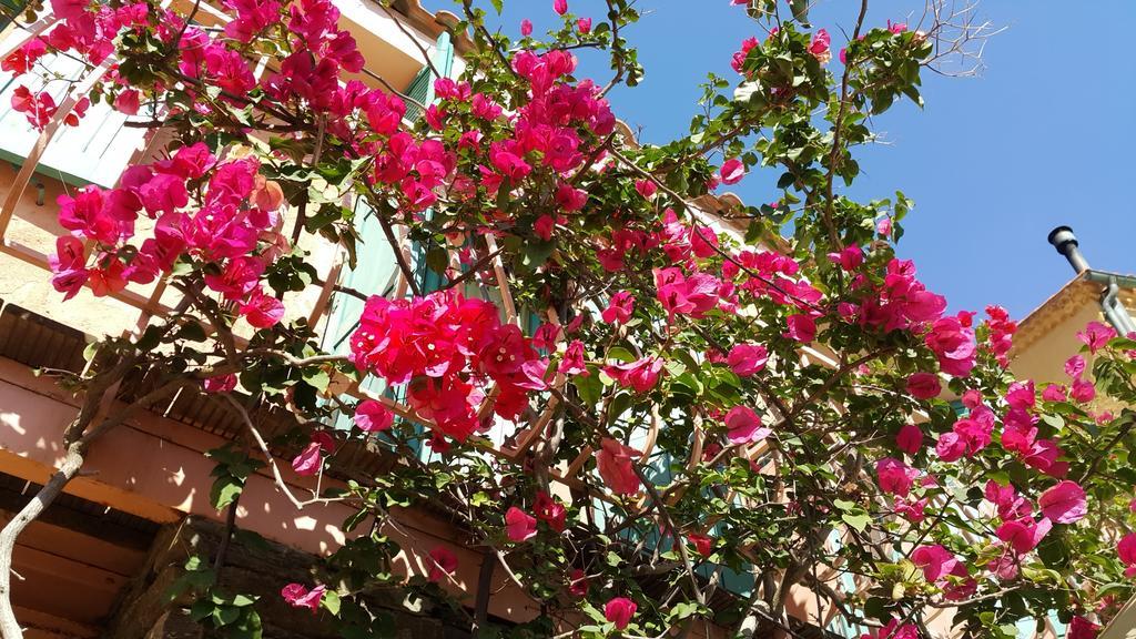 פורט-קרו Hostellerie Provencale מראה חיצוני תמונה